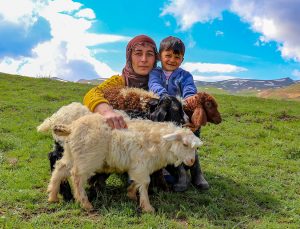 Kadın çiftçi devletten aldığı destekle besici oldu