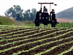 Tarımsal destekleme ödemeleri bugün başlıyor