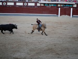 Fransız kadın matador Lea Vicens, Madrid arenasını omuzlar üzerinde terk etti