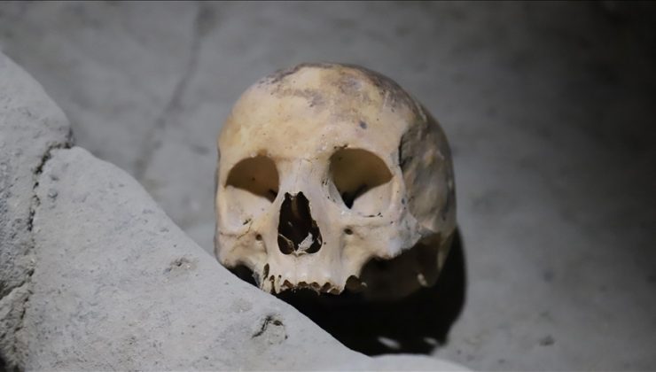 Minnesota’da 8 bin yıllık kafatası bulundu