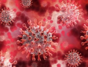 DSÖ’den maymun çiçeği virüsü aşısı açıklaması