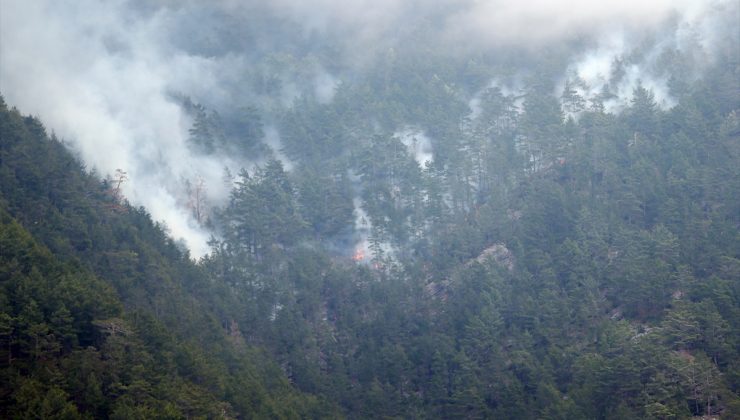 Alanya’da çıkan orman yangınına müdahale ediliyor