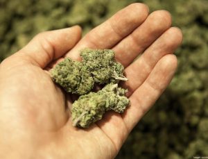 NJ, eğlencelik marihuana satışında rekor