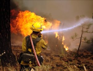 ABD’nin New Jersey eyaletinde orman yangını çıktı