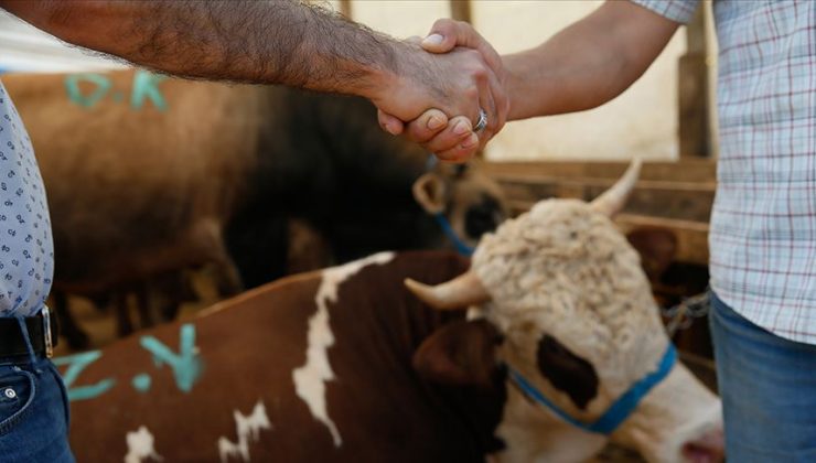 Kurban vekaletiyle ilgili merak edilenler