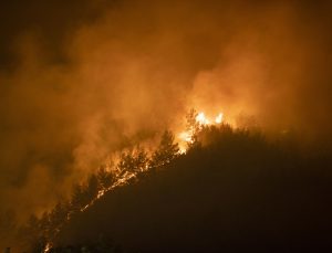 Marmaris’te 3 izmaritle koca orman yandı