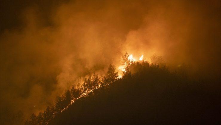 Marmaris’te 3 izmaritle koca orman yandı