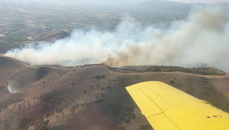 İzmir’in Urla ilçesinde orman yangını