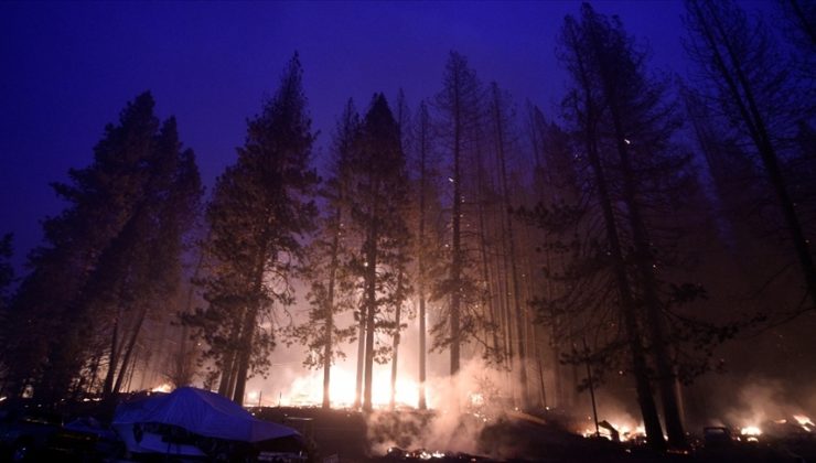İçişleri Bakanlığı orman yangınlarına karşı valilikleri uyardı