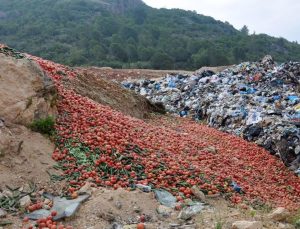 Antalya’da çöpe atılan sebzeler yenmeye uygun değilmiş