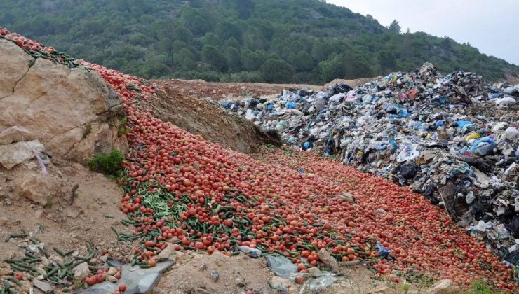 Antalya’da çöpe atılan sebzeler yenmeye uygun değilmiş
