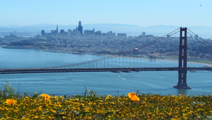 San Francisco’da ‘maymun çiçeği’ alarmı