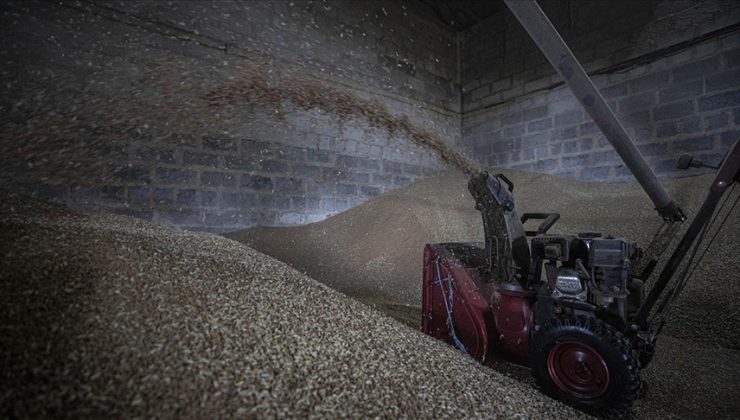 Tahıl sevkiyatı üssü İstanbul’da resmi olarak açıldı