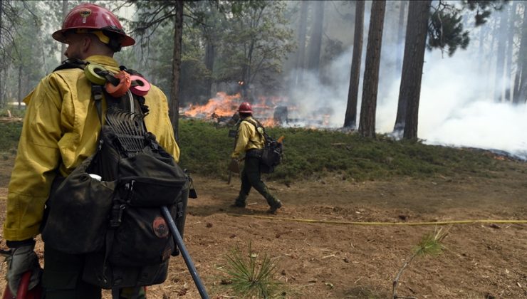 California’da yangın bilançosu: 6 bin 300 hektar alan zarar gördü