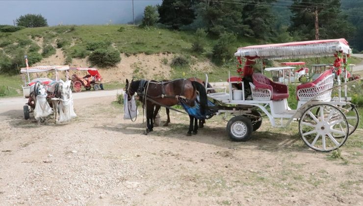 Abant Milli Parkı’nda at ve faytonla yapılan gezi faaliyetleri sonlandırıldı