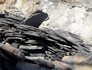 Bodrum’daki çok sayıda köylü taş ocağına karşı dava açıyor