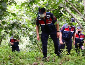 Ormanda kaybolan genç için 400 kişilik ekip seferber oldu