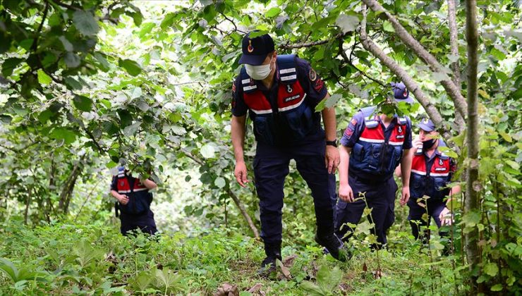 Ormanda kaybolan genç için 400 kişilik ekip seferber oldu