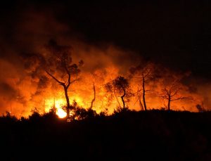 Madagaskar’da katliam: 32 kişi öldü