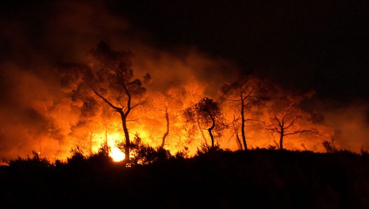 Madagaskar’da katliam: 32 kişi öldü