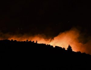 Atina’daki orman yangınında çok sayıda ev zarar gördü