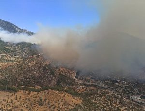 Datça’da çıkan orman yangınına havadan ve karadan müdahale ediliyor
