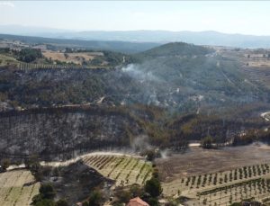 Manisa’daki yangına ilişkin 2 kişi tutuklandı