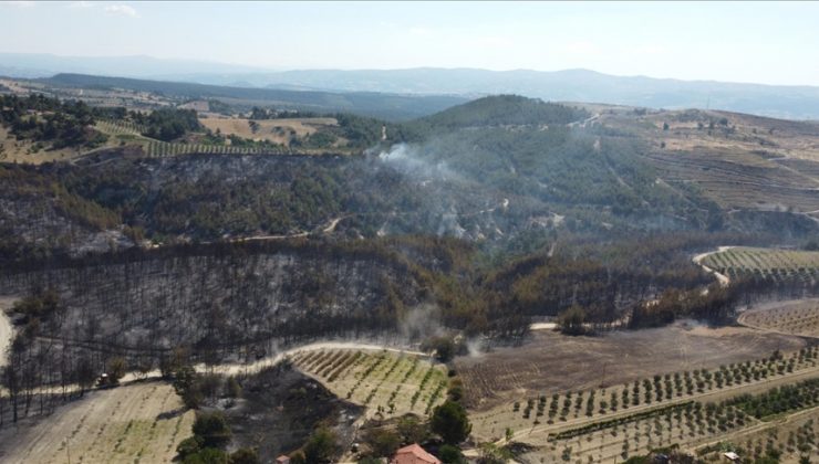 Manisa’daki yangına ilişkin 2 kişi tutuklandı