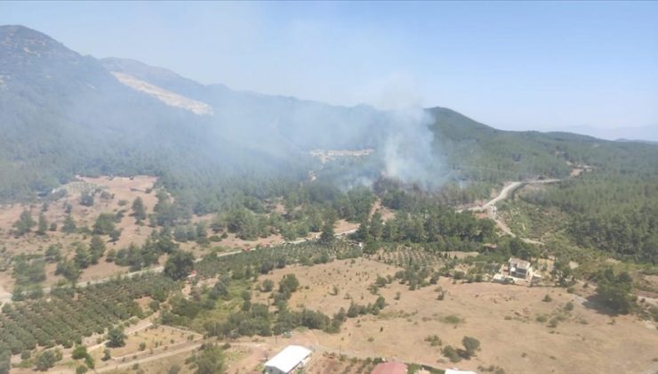 İzmir Seferihisar’da orman yangını