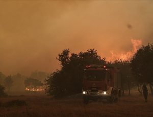 Sisam Adası’ndaki yangın nedeniyle 2 köy tahliye edildi