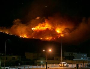 Tunus’taki orman yangınını söndürme çalışmaları sürüyor