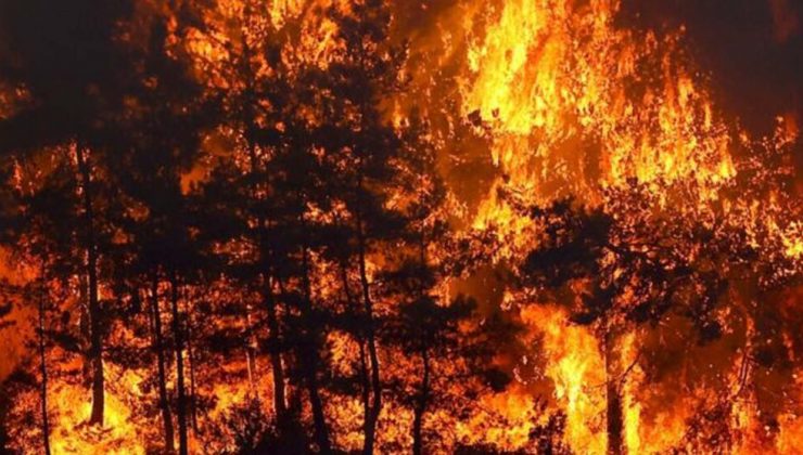 Fransa’daki orman yangını büyüyor