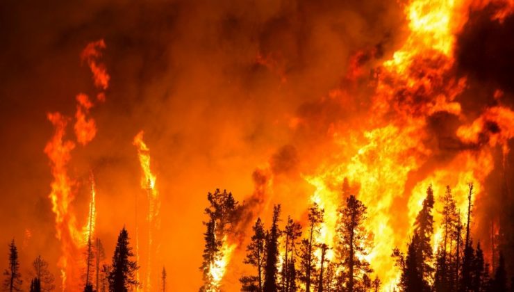 Midilli Adası yanıyor: 450 kişi tahliye edildi