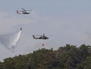 Balıkesir’in Havran ilçesinde orman yangını