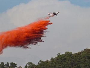 Datça’daki orman yangını kontrol altına alındı