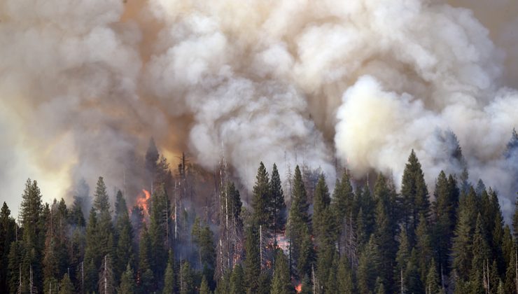 California yangınlarla boğuşuyor