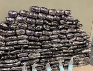 San Diego’da 2,5 milyon dolarlık fentanil yakalandı