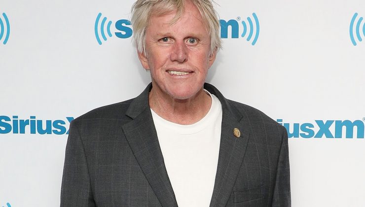 Aktör Gary Busey’e cinsel taciz suçlaması