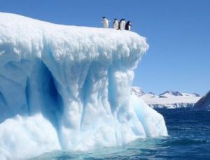 Antarktika’daki buzullar hızla eriyor
