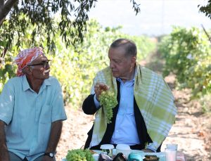 Erdoğan açıkladı: Sultani çekirdeksiz kuru üzümün alım fiyatı 27 TL oldu