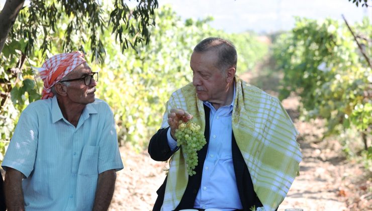 Erdoğan açıkladı: Sultani çekirdeksiz kuru üzümün alım fiyatı 27 TL oldu