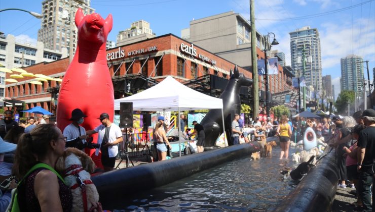 Kanada’da Köpek Günü Festivali