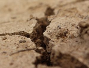 Erbil kuraklıkla mücadele ediyor: 55 kuyu kurudu