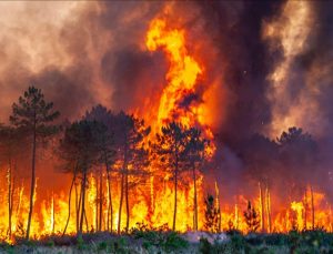Yünnan’daki orman yangınında 3 kişi öldü