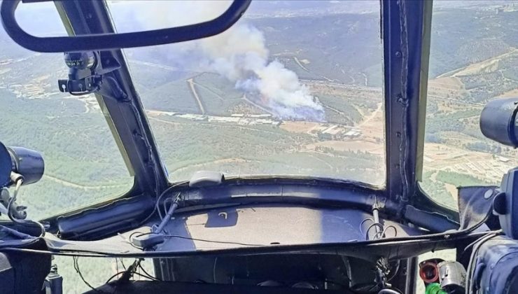 İzmir’de ormanlık alanda yangın çıktı