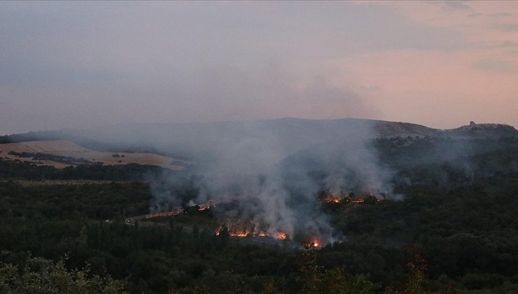 Bulgaristan’da patlayıcı madde imhası sırasında orman yangını çıktı