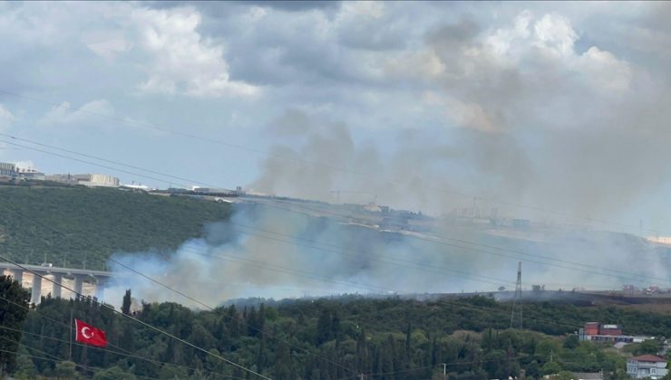 Kocaeli’de orman yangını çıktı