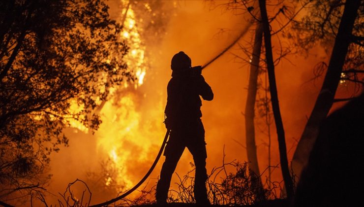 İspanya’da orman yangınlarıyla mücadele kuzeyden güneye devam ediyor