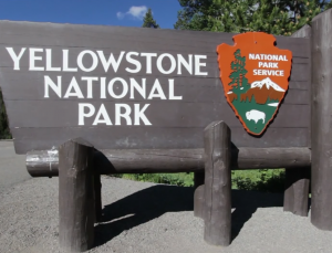 Yellowstone Parkı’nda “insan ayağı” bulundu!