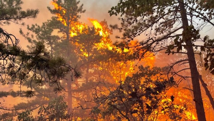 Ulusal Muhafızlar Minnewaska Eyalet Parkı’ndaki yangın için devrede